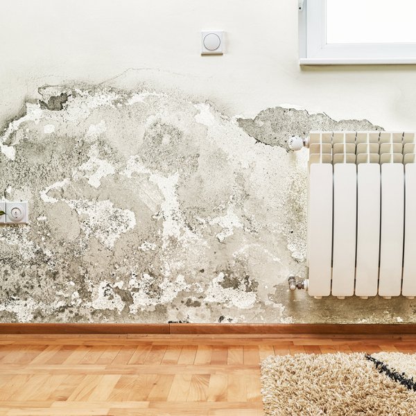 Nasse Wand
