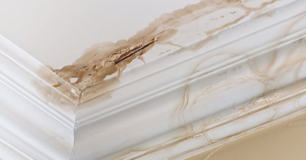 Nasse_Decke